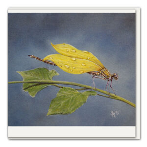 Klappkarte Sonnenblumen-Prachtlibelle