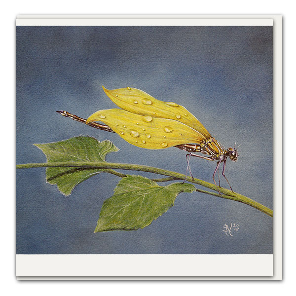 Klappkarte Sonnenblumen-Prachtlibelle