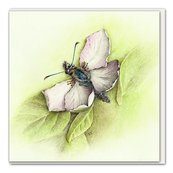 Klappkarte Wolliger Rosenfalter